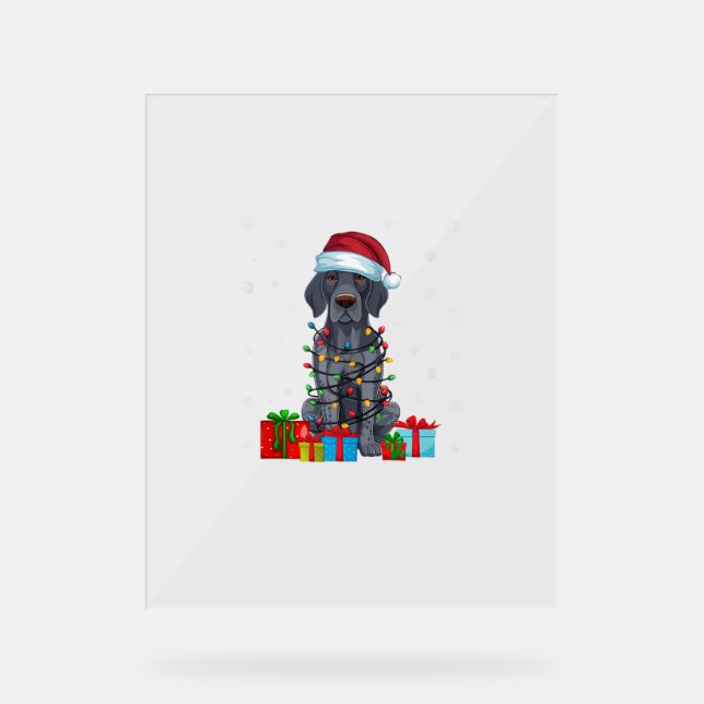Xmas Lights Santa German Shorthaired Pointer Dog C Acrylic Sign (Front)