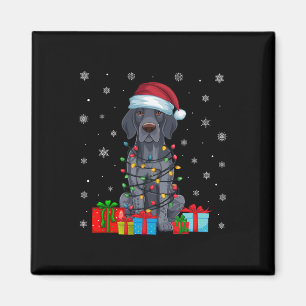 Xmas Lights Santa German Shorthaired Pointer Dog C Magnet