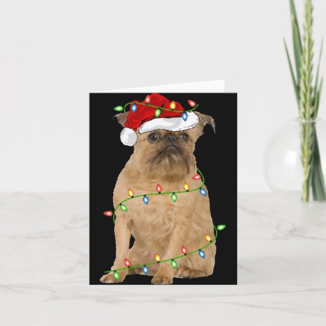 Xmas Lights Santa Hat Brussels Griffon Dog Christm Card (Front)