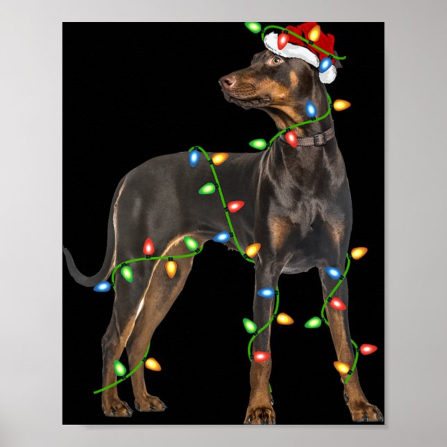 Xmas Lights Santa Hat Doberman Nscher Dog Christ  Poster (Front)