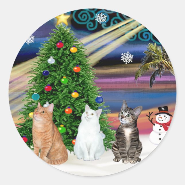 Xmas Magic - 3 cats (2 tabbys - white) Classic Round Sticker (Front)