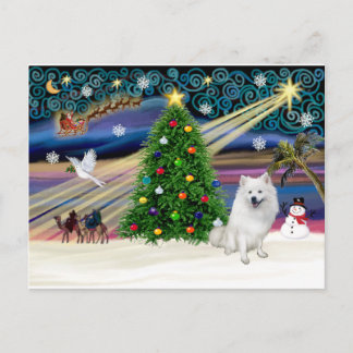 Xmas Magic-American Eskimo Dog Holiday Postcard