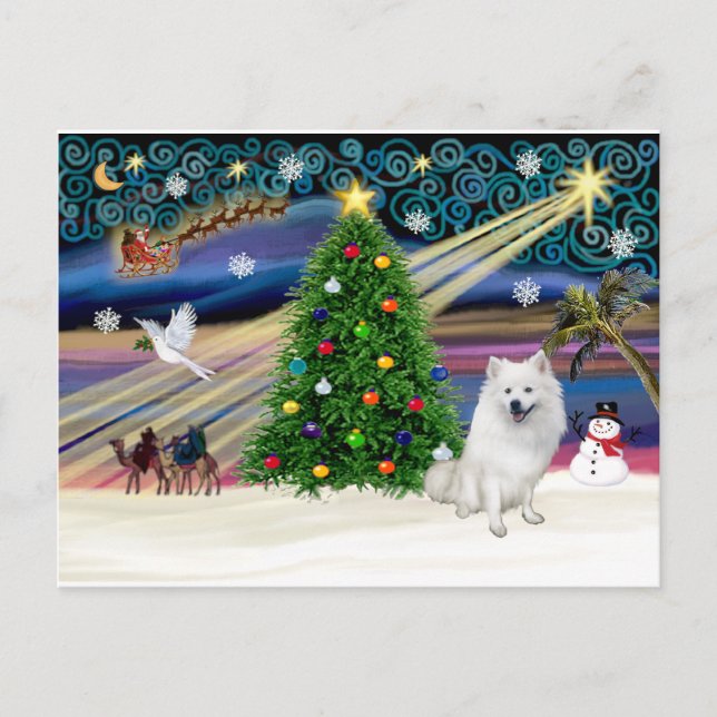 Xmas Magic-American Eskimo Dog Holiday Postcard (Front)
