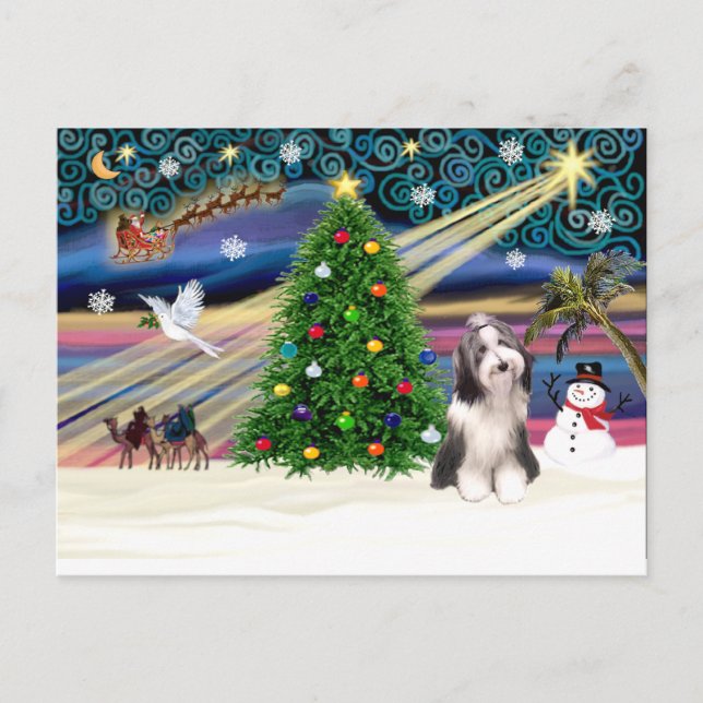 Xmas Magic-Beardie4 Holiday Postcard (Front)