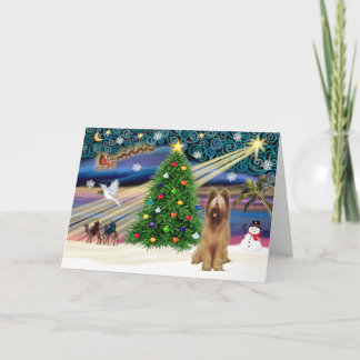 Xmas Magic-Briard-Fawn Holiday Card