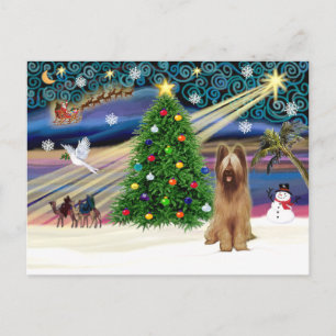 Xmas Magic-Briard-Fawn Holiday Postcard