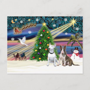 Xmas Magic-Bull Terrier Pair Holiday Postcard