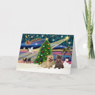 Xmas Magic-Cairn Pair-wheatn+brindle Holiday Card