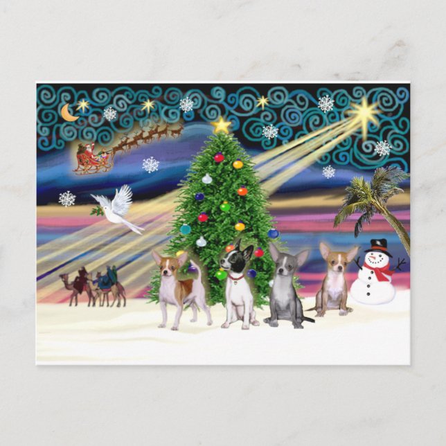 Xmas Magic-Chihuahuas (four) Holiday Postcard (Front)