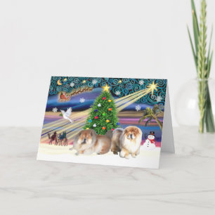 Xmas Magic-Chow  Pair Holiday Card