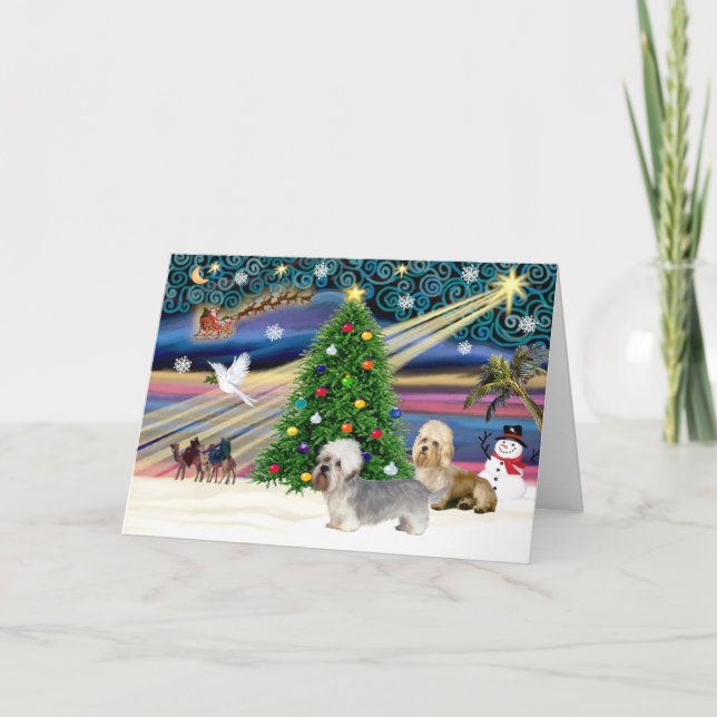 Xmas Magic-Dandie Dinmont Pair Holiday Card (Front)