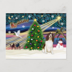 Xmas Magic-English Springer Holiday Postcard