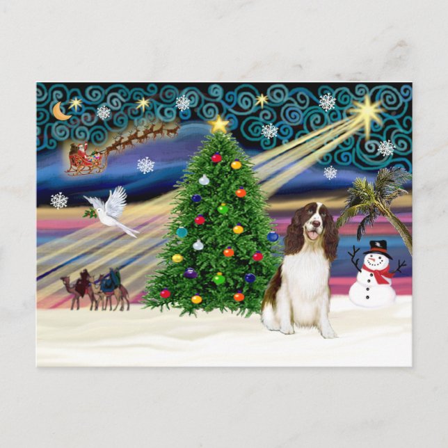 Xmas Magic-English Springer Holiday Postcard (Front)