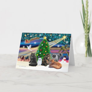 Xmas Magic - Five Persian Cats Holiday Card