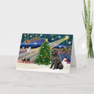 Xmas Magic-Newfie blksit Holiday Card