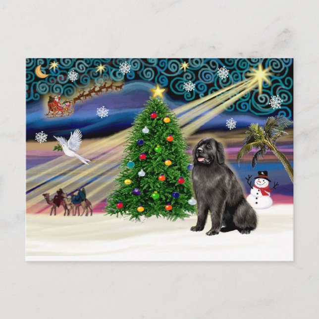 Xmas Magic-Newfie blksit Holiday Postcard (Front)