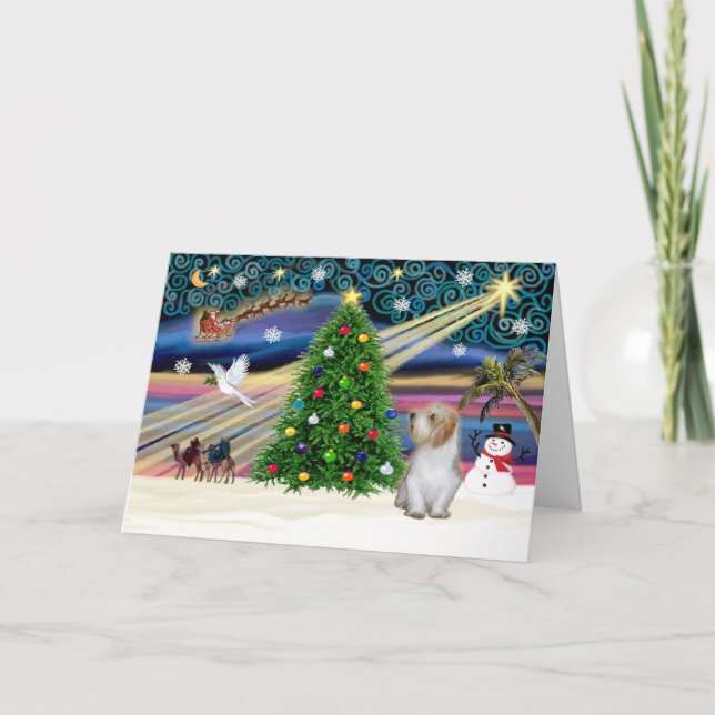 Xmas Magic-PBGV 3 Holiday Card (Front)
