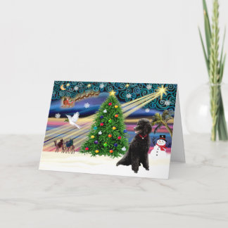 Xmas Magic-Poodle-Std-black Holiday Card