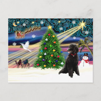 Xmas Magic-Poodle-Std-black Holiday Postcard