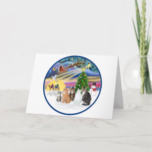 Xmas Magic (R) - Five cats (AmSH) Holiday Card