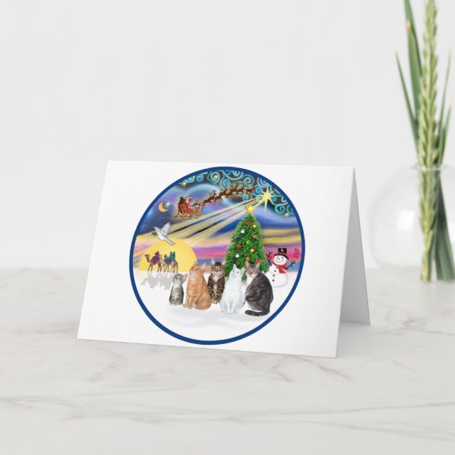 Xmas Magic (R) - Five cats (AmSH) Holiday Card (Front)