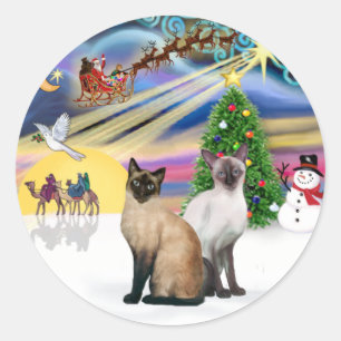 Xmas Magic (R) - Two Siamese cats Classic Round Sticker