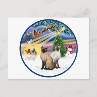 Xmas Magic (R) - Two Siamese cats Holiday Postcard