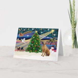 Xmas Magic-Rhodesian Ridgeback-lkup Holiday Card