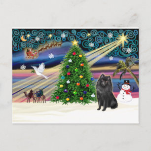Xmas Magic-Schipperke Holiday Postcard