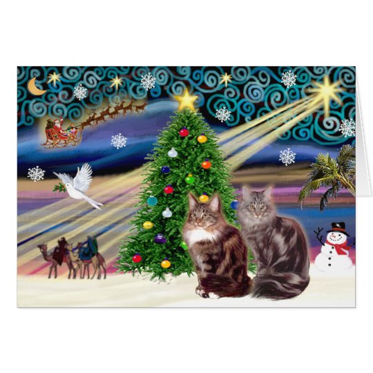 Xmas Magic - Two Maine Coon cats Card