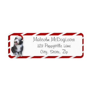 Xmas Old English Sheepdog Puppy