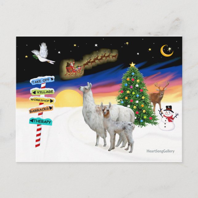 Xmas Signs - Mama Llama and Baby Holiday Postcard (Front)