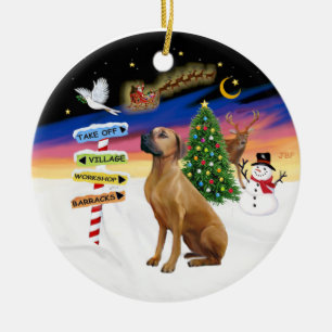 Xmas Signs - Rhodeisn Ridgeback Ceramic Tree Decoration