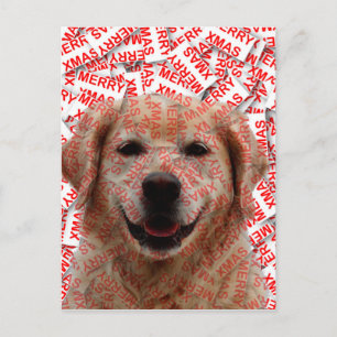 Xmas Smiling Golden Retriever Dog Holiday Postcard