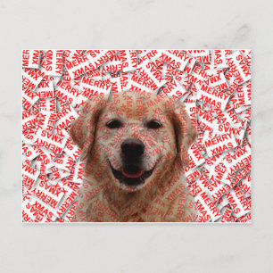 Xmas Smiling Golden Retriever Dog Holiday Postcard
