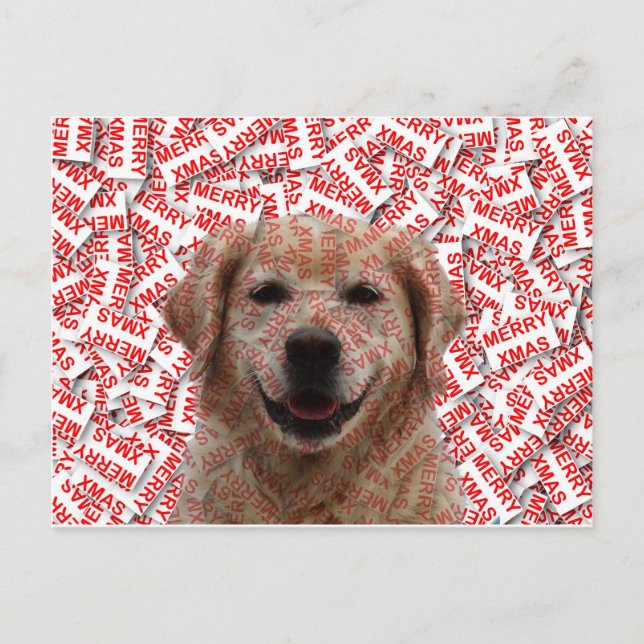Xmas Smiling Golden Retriever Dog Holiday Postcard (Front)