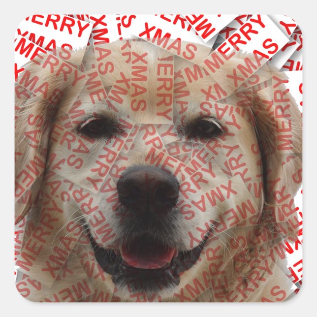 Xmas Smiling Golden Retriever Dog Square Sticker (Front)