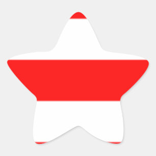 Xmas Star Sticker