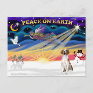 Xmas Sunrise - American Foxhound 1 Holiday Postcard