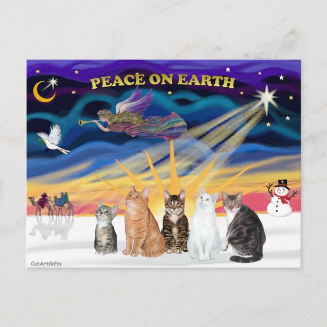 Xmas Sunrise - Five cats (AmSH) Holiday Postcard (Front)