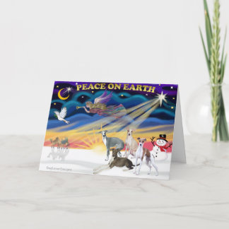 Xmas Sunrise - Four Italian Greyhounds Holiday Card
