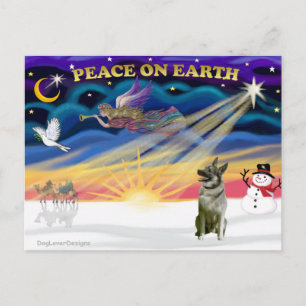 Xmas Sunrise - Norwegian Elkhound Holiday Postcard