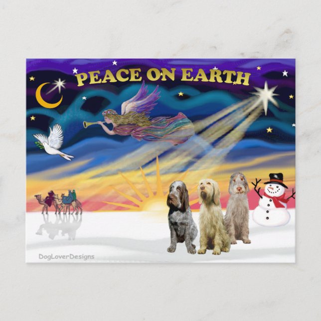 Xmas Sunrise - Three Italian Spinones Holiday Postcard (Front)