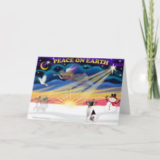 Xmas Sunrise - Toy Fox Terrier Holiday Card