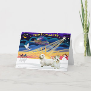 Xmas Sunrise - Two Sealyham Terriers Holiday Card