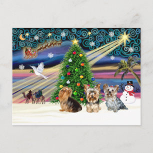 XmasMagic Yorkie Trio Holiday Postcard
