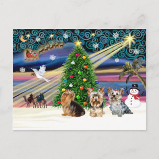 XmasMagic Yorkie Trio Holiday Postcard