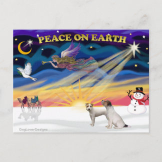 XmasSunrise-Two Jack Russell Terriers Holiday Postcard