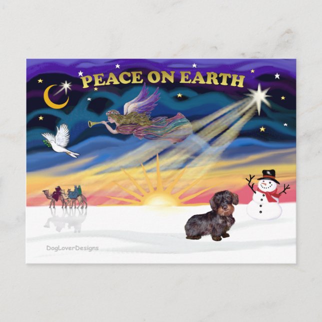 XmasSunrise-WireHaired Dachshund Holiday Postcard (Front)