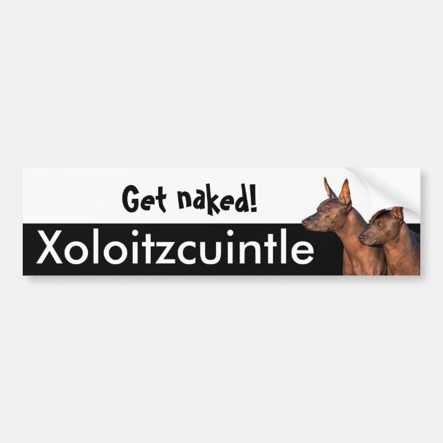 Xolitzcuintle Bumper Sticker (Front)